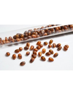 10 Margele sticla Cehia drop (picatura) 4 x 6 mm