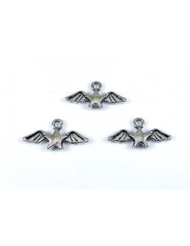 2xCharm argintiu antichizat...