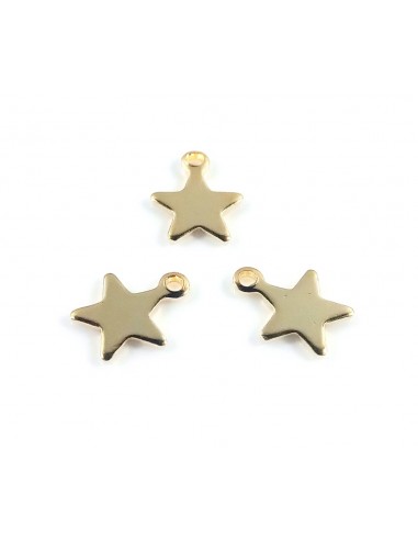 2xCharm otel inoxidabil 304 auriu...