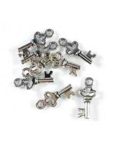 4 Charmuri argintii cheita... 2