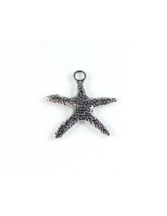 2xCharm argintiu antichizat...