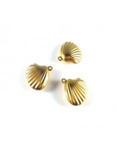 Charm scoica otel...