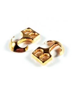 Inchizatoare ancora aurie...